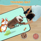 4-Pack Washable Dog Pee Pads – 35×22in Reusable, Leak-Resistant Puppy Training Mats with Non-Slip Backing (Blue)