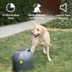 PetSafe Automatic Dog Ball Launcher – Interactive Tennis Ball Thrower for Indoor & Outdoor Play
