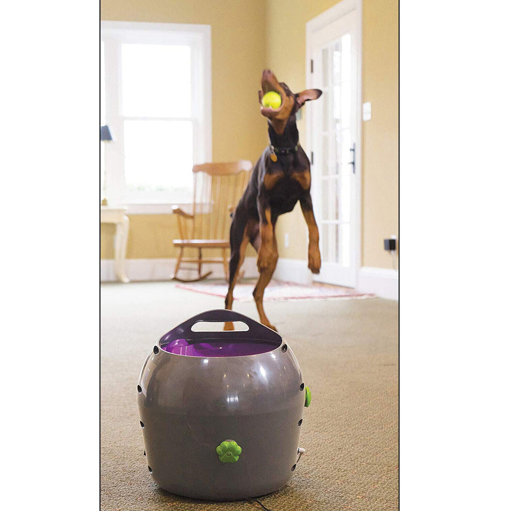 PetSafe Automatic Dog Ball Launcher – Interactive Tennis Ball Thrower for Indoor & Outdoor Play