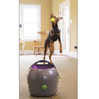 PetSafe Automatic Dog Ball Launcher – Interactive Tennis Ball Thrower for Indoor & Outdoor Play