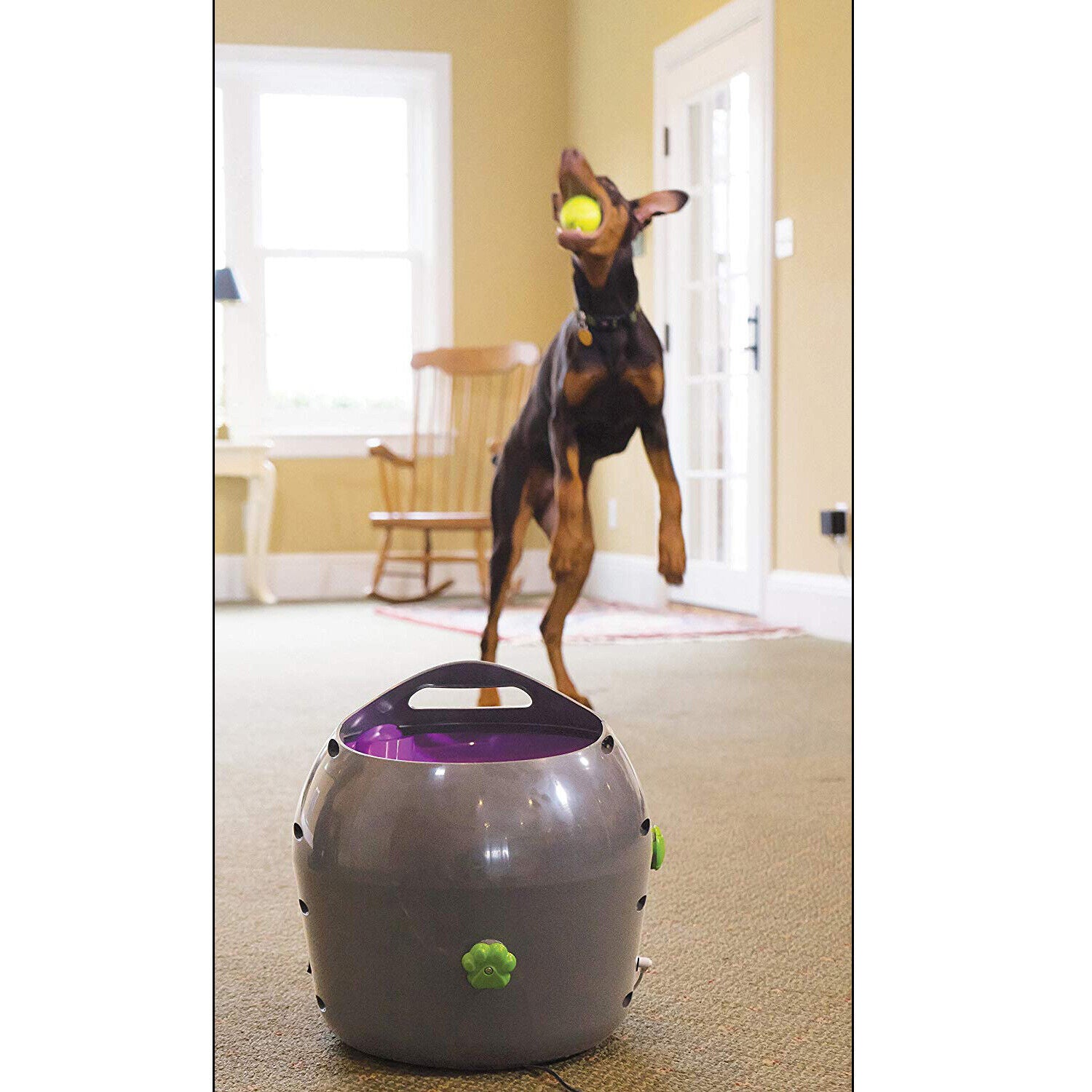 PetSafe Automatic Dog Ball Launcher – Interactive Tennis Ball Thrower for Indoor & Outdoor Play