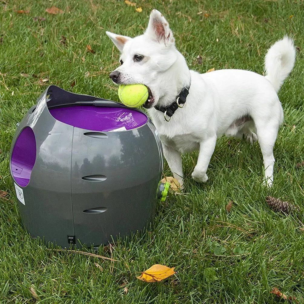 PetSafe Automatic Dog Ball Launcher – Interactive Tennis Ball Thrower for Indoor & Outdoor Play